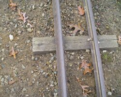 SRCL_20231106-a