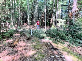 SRCL_20240829a